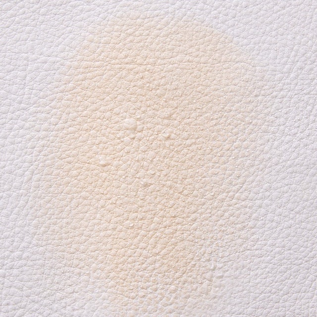 自然輕透膠囊氣墊粉餅 5