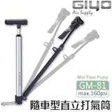 10 大打氣筒推薦排行榜 5
