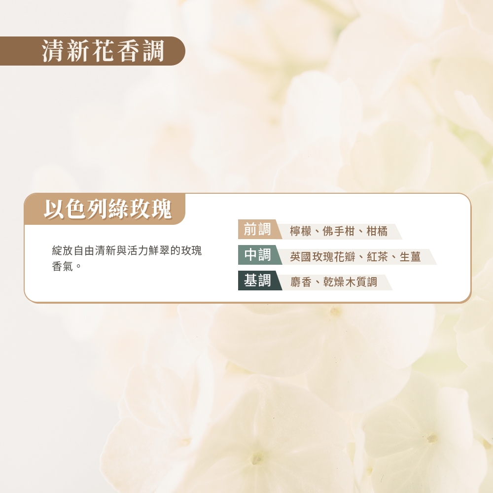 以色列綠玫瑰3效修護煥髮膜 3