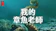 我的章魚老師 1