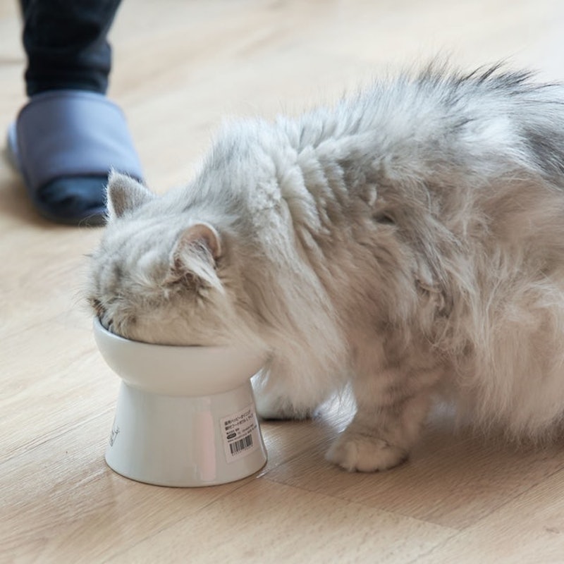 快樂食光高腳食碗 2