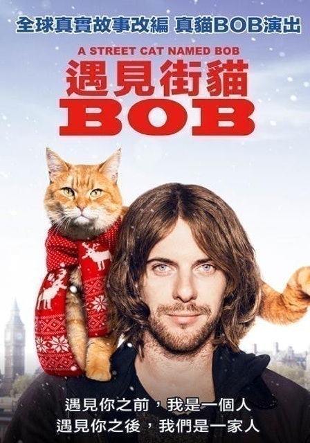 遇見街貓BOB 1