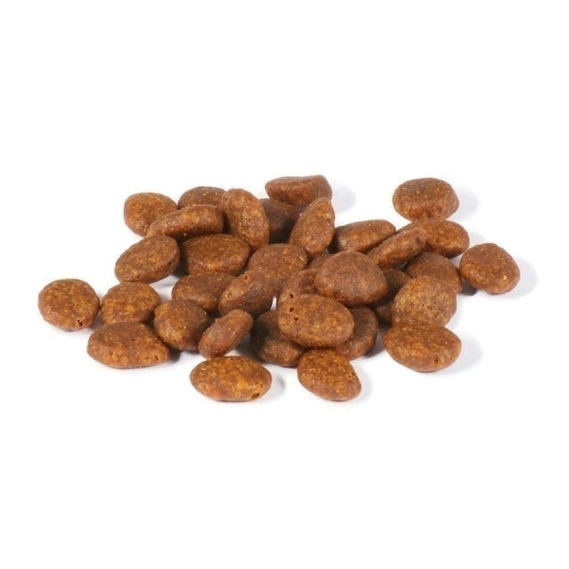 無穀貓乾糧 雞肉風味 5