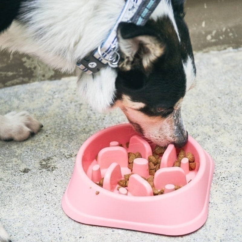 圓角方形多柱慢食碗 7
