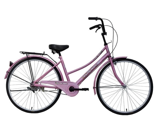 二管型淑女車 1