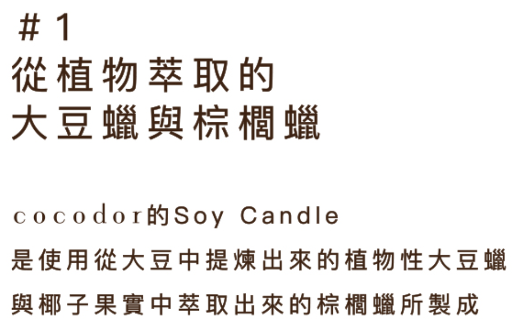 大豆蠟燭 2