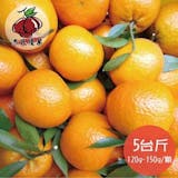 10 大橘子宅配推薦排行榜 4