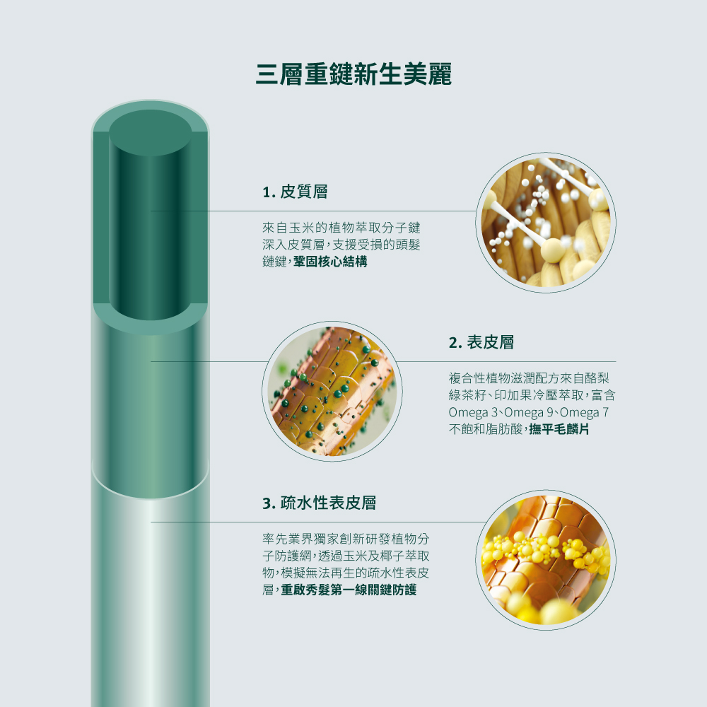 花植結構重鍵護髮膜 2