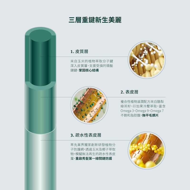花植結構重鍵護髮膜 2