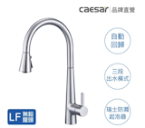 10 大廚房水龍頭推薦排行榜 5