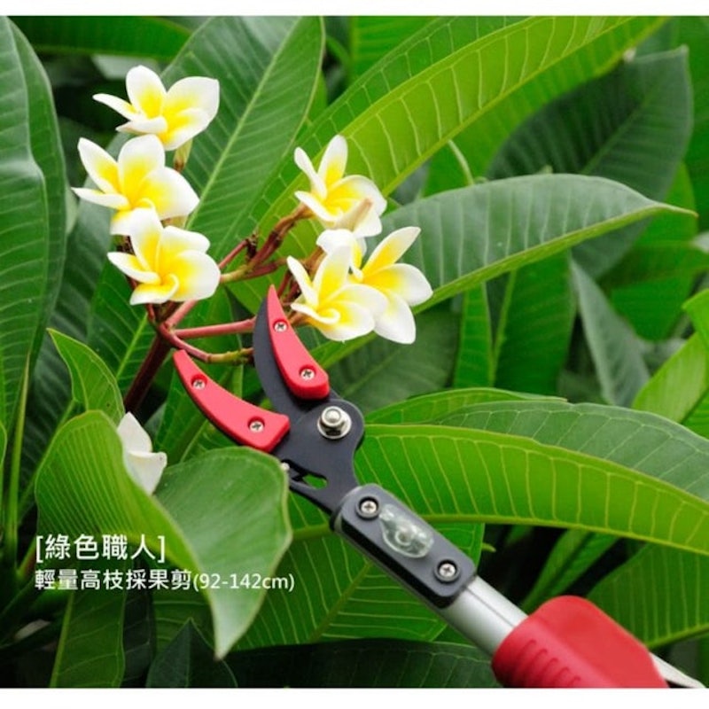 5. 綠色職人 輕量高枝採果剪 1