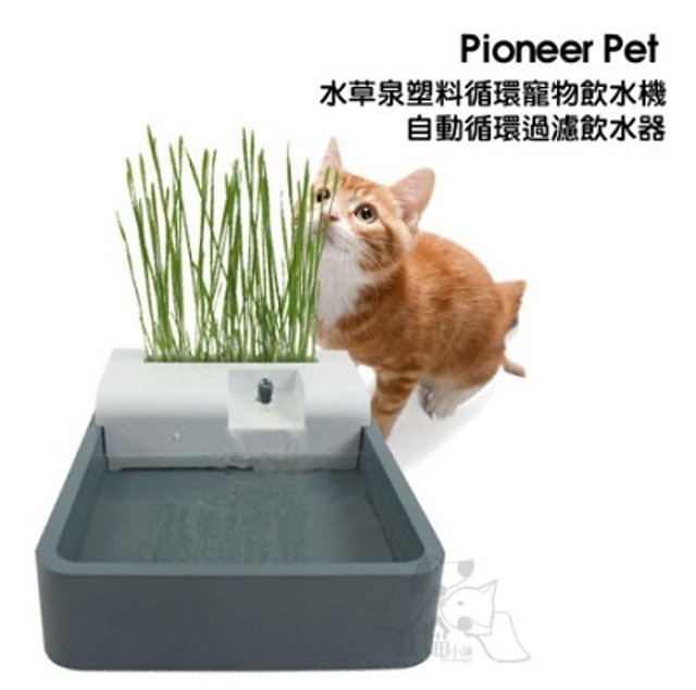 8. Pioneer Pet 水草泉塑料循環寵物飲水機 1