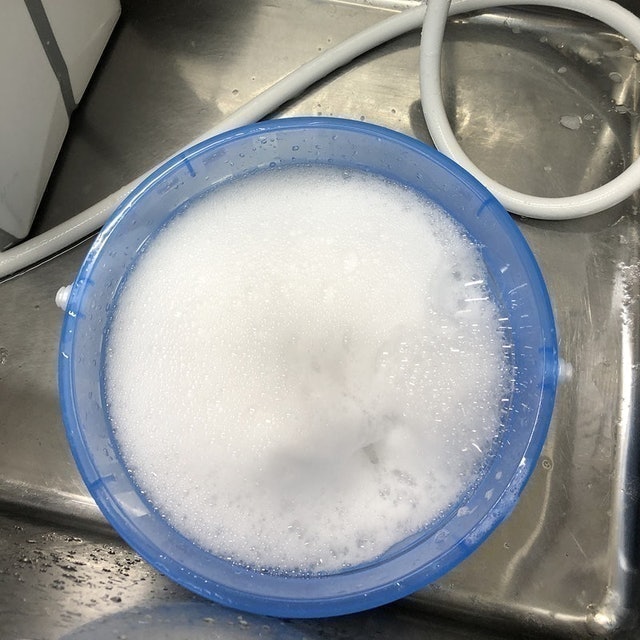 Picnic寵物洗毛精 B型正常膚質 犬貓適用 7