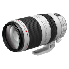 EF100-400mm f/4.5-5.6L IS II USM