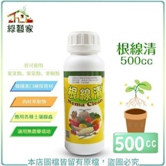 根線清