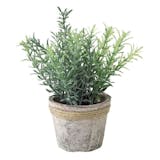 10 大仿真植物推薦排行榜 3