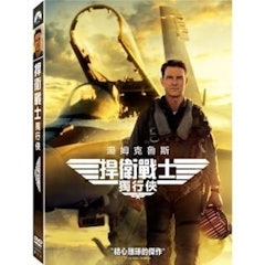 捍衛戰士:獨行俠