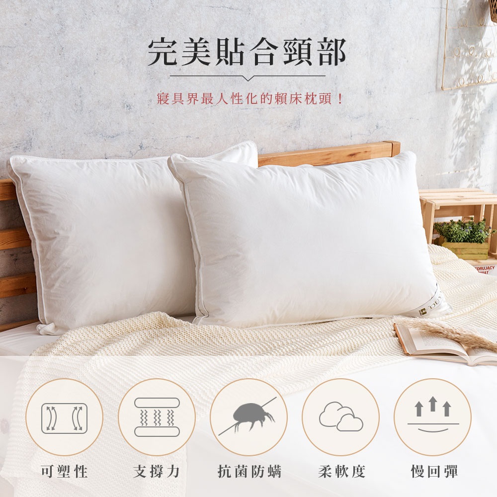 5D 科技賴床枕 3