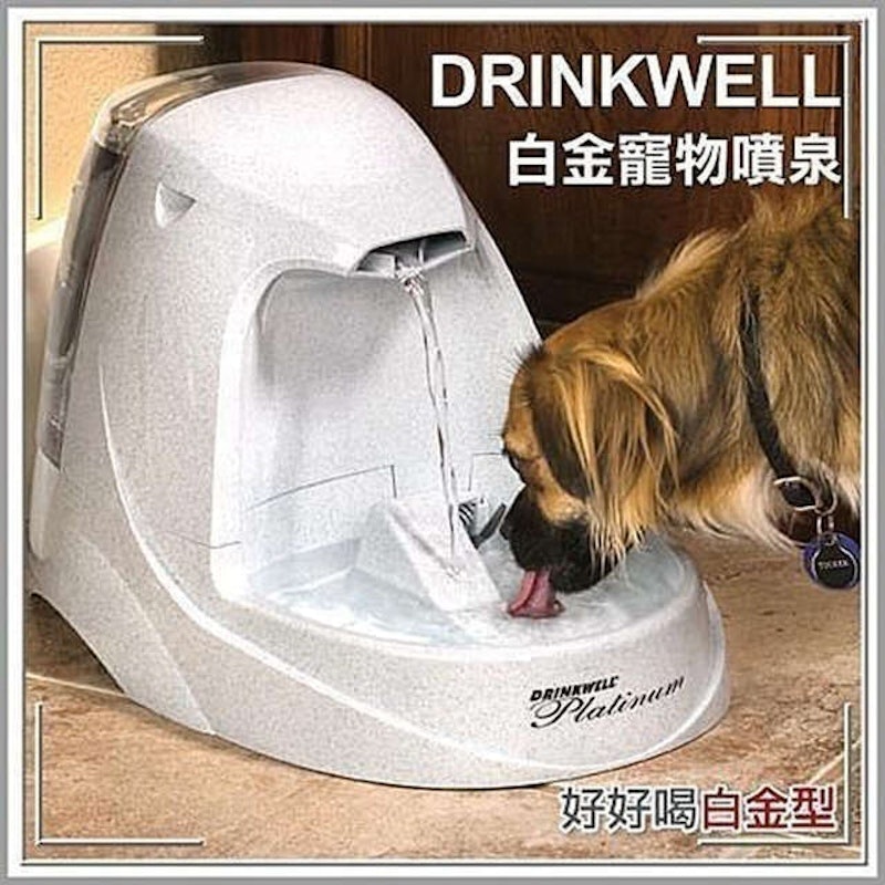 白金級濾水式電動飲水機 1