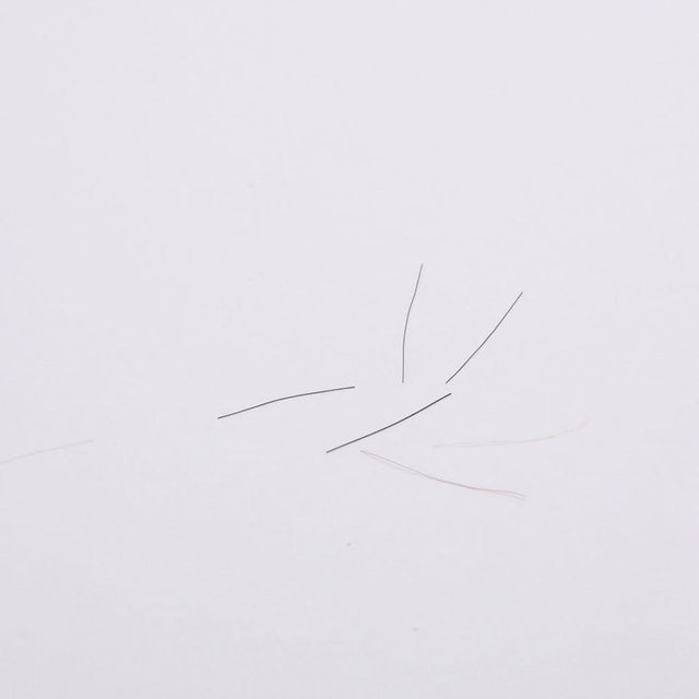 專業鞋刷 5