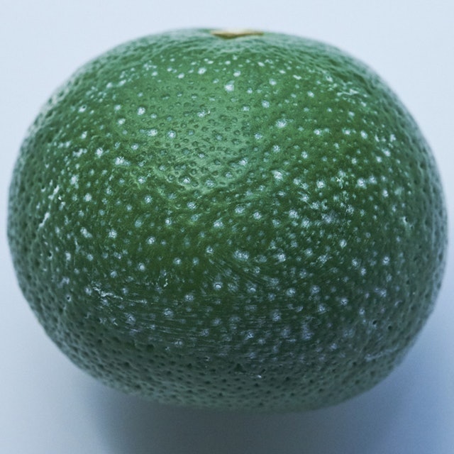 光滑細緻寶貝蛋 4