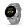 GARMIN VENU 2 Plus GPS智慧腕錶 1