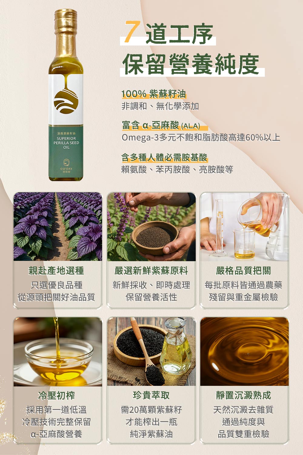 好日籽頂級紫蘇籽油 3