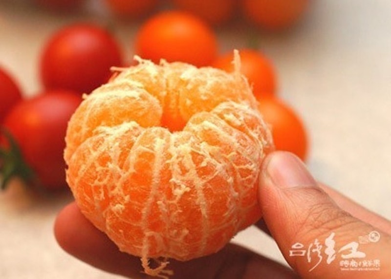 迷你珍珠砂糖橘 1