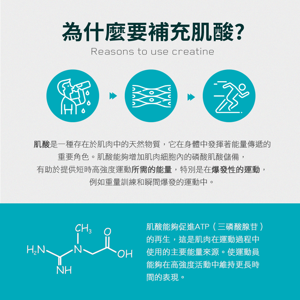 Creatine Monohydrate一水肌酸 3