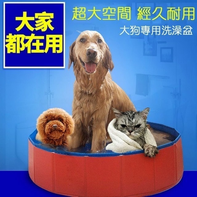 10 大寵物澡盆推薦排行榜 5