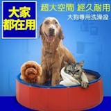 10 大寵物澡盆推薦排行榜 5