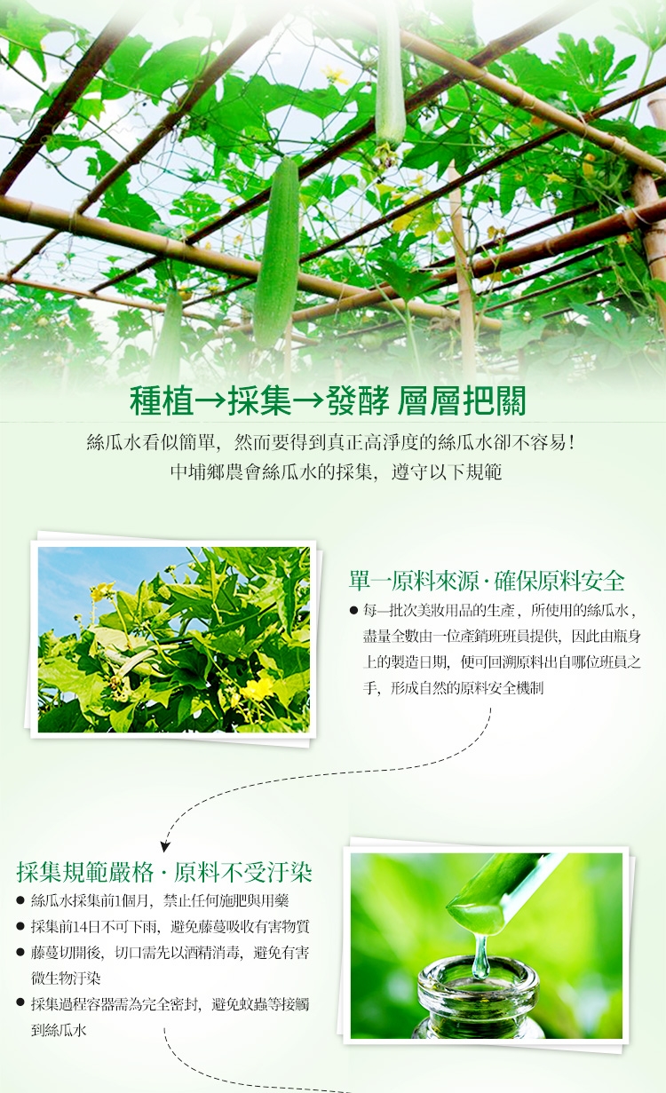 萃美絲瓜去角質凝膠 3