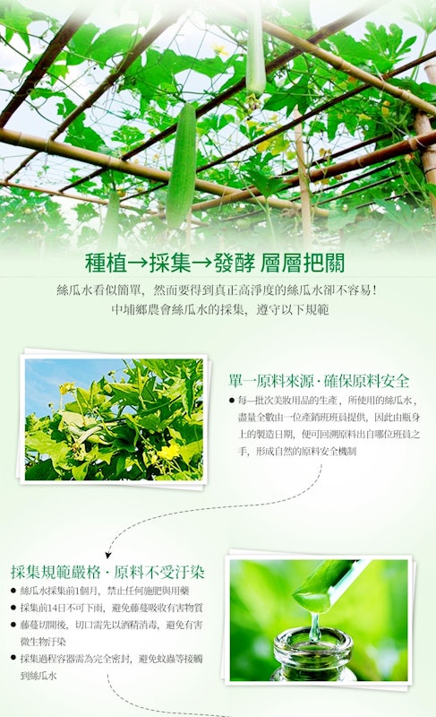 萃美絲瓜去角質凝膠 3