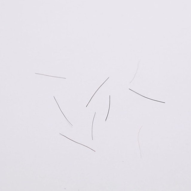 馬毛鞋刷 5