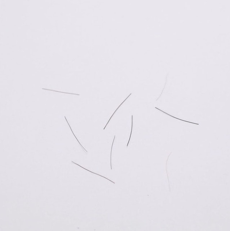 馬毛鞋刷 5