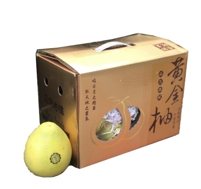 10 大文旦推薦排行榜 1