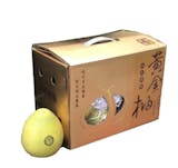 10 大文旦推薦排行榜 1