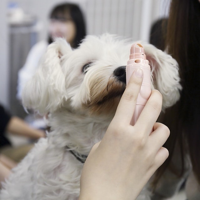 Preciante電動寵物指甲剪 7
