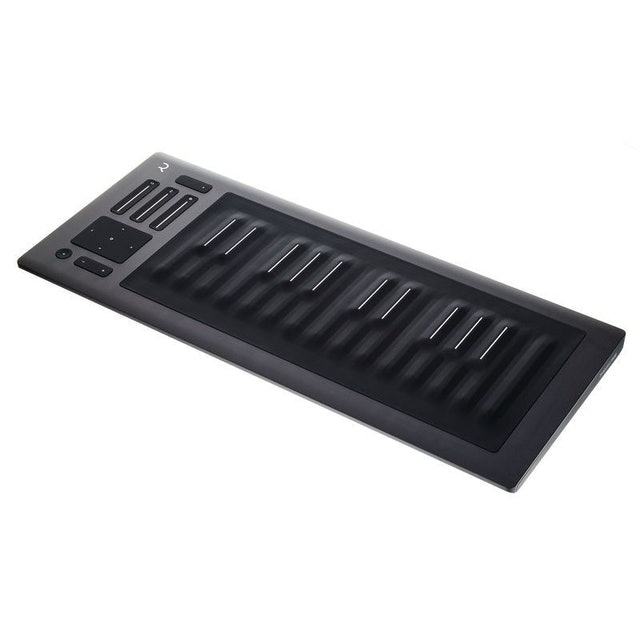 SEABOARD RISE 25 MIDI 鍵盤 1