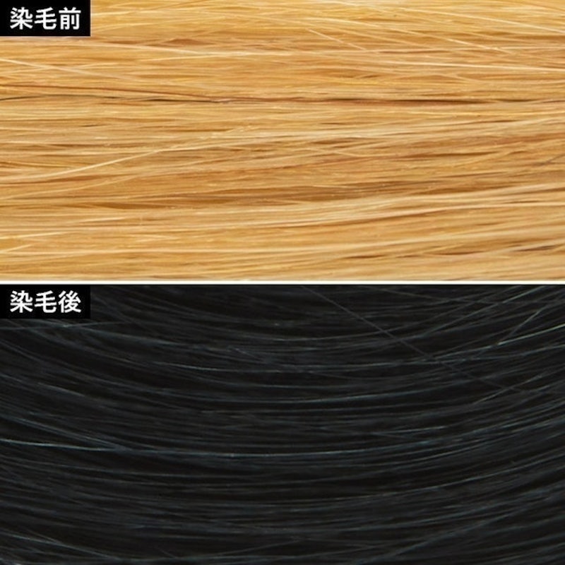 黑色染髮劑 3