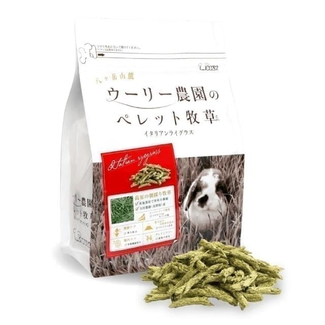 意大利黑麥草 1
