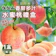 禾鴻 拉拉山香甜多汁水蜜桃禮盒 1