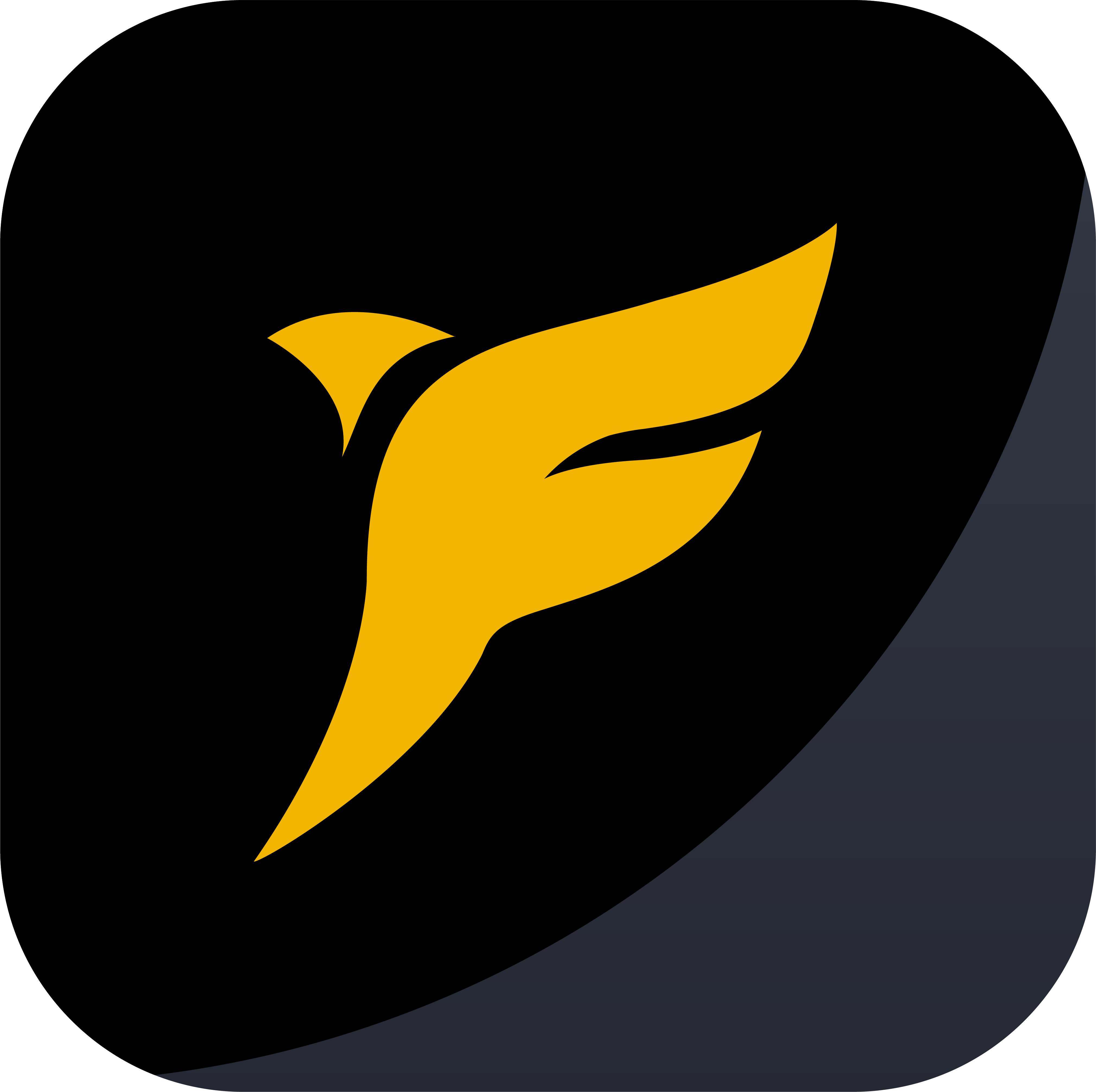 富果Fugle 1