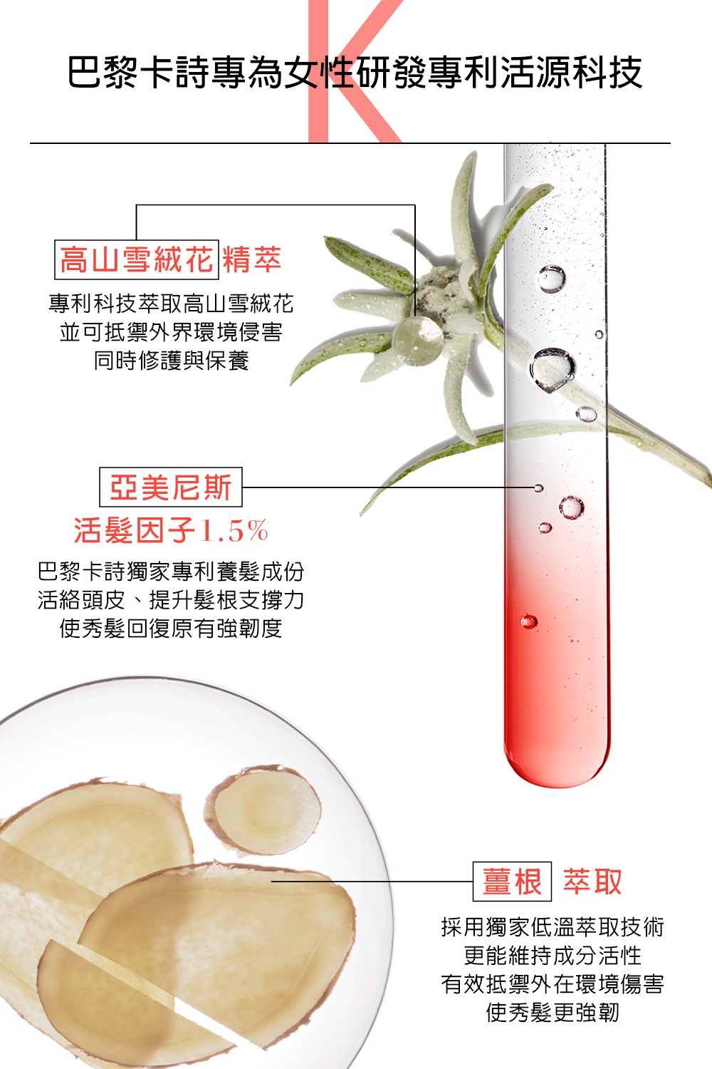 粉漾芯生頭皮調理精華 2