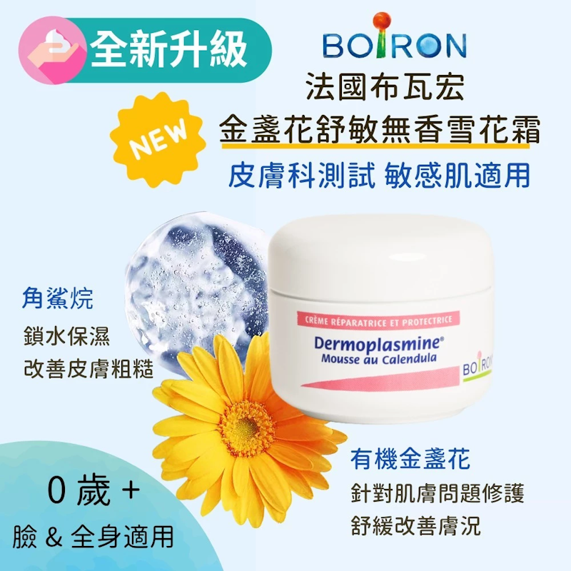 金盞花舒敏雪花霜 2