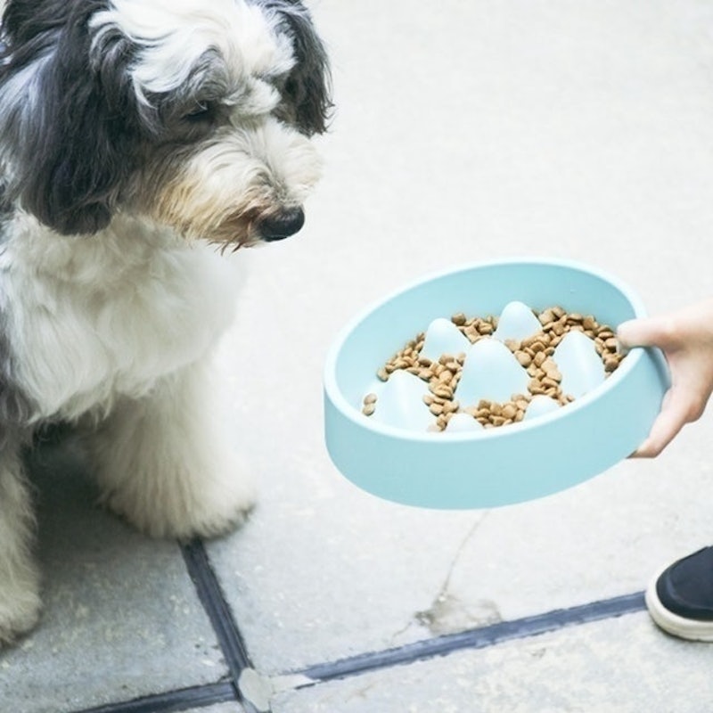 寵物慢食碗 8
