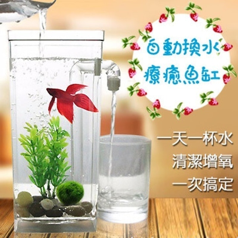 自動換水療癒魚缸 1