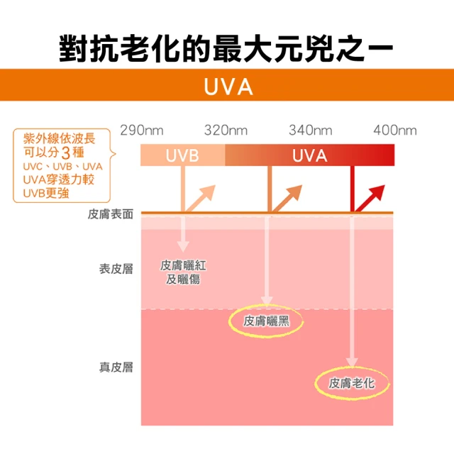 全效極護物理防曬液 3
