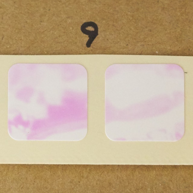 Saborino 早安高效防曬噴霧 4