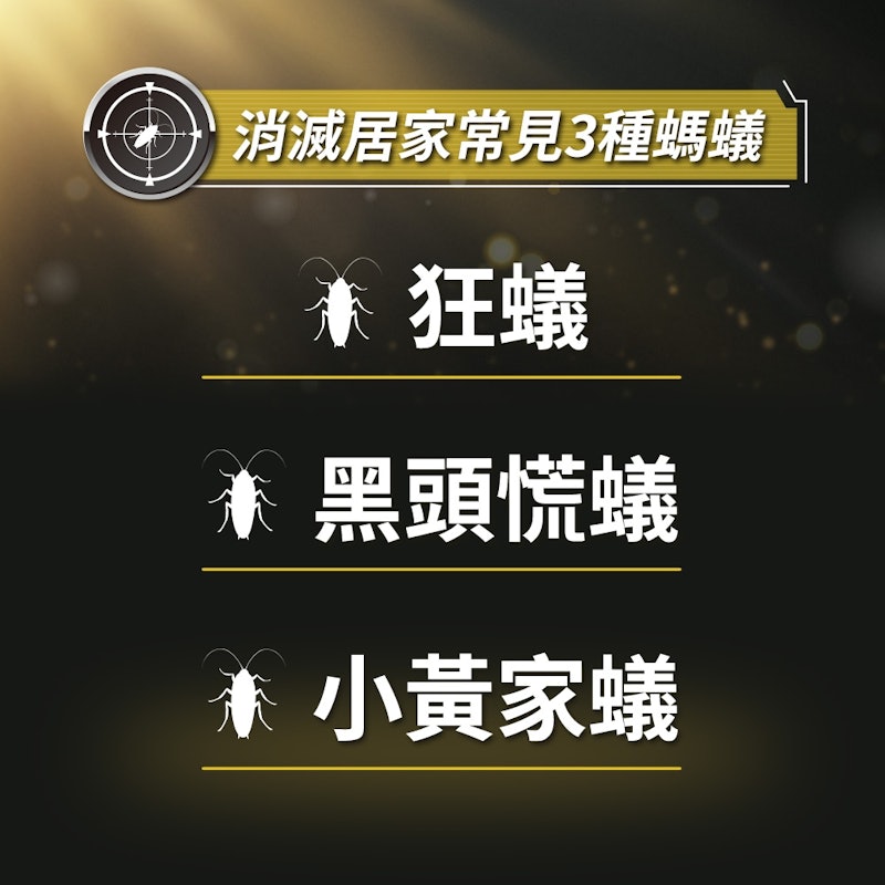 居家防護滅蟻隊 3